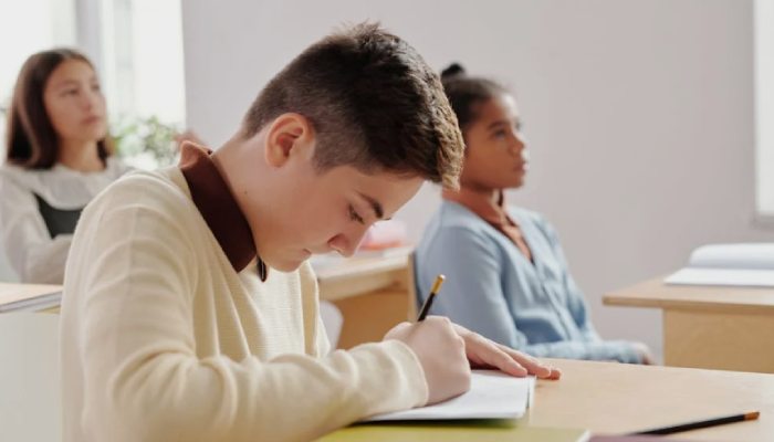 üstün zekalı çocuklara devlet yardımı